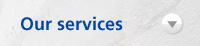 Our services